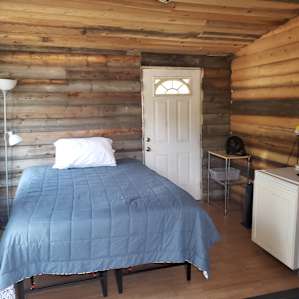 Tiny Cabin Home in the Clearing