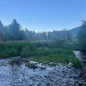 Murphys Peaceful Cranbrook Campsite