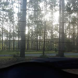 Beautiful view from I side the car camp