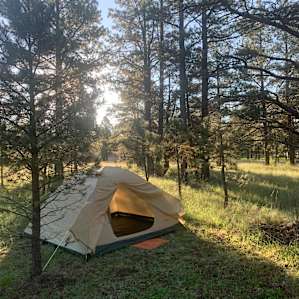 Morning sun above Site 2. So peaceful!