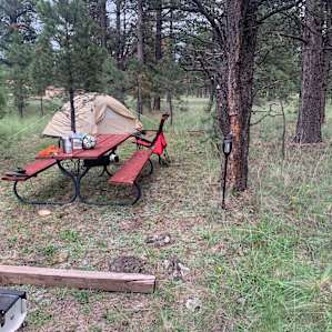 Site 2. Nice table and grassy area. Semi-shaded.