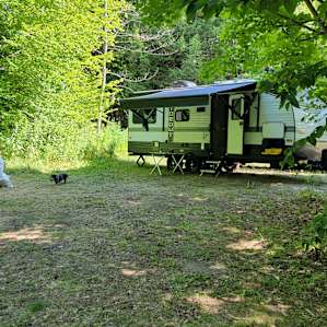 Cedar Creek Forest Camping