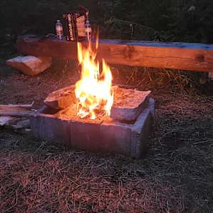 Cedar Creek Forest Camping
