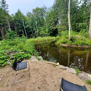 Cedar Creek Forest Camping