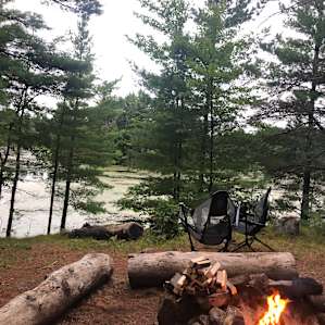 Pine Solitude!