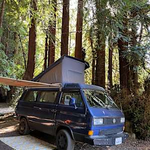 Redwood Camp