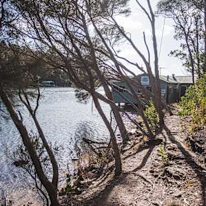Wonboyn oysters - just 2min walk from the caravan park