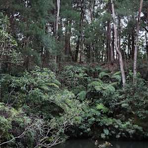 Platypus Bend