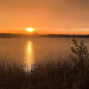 The Pond Tent sites