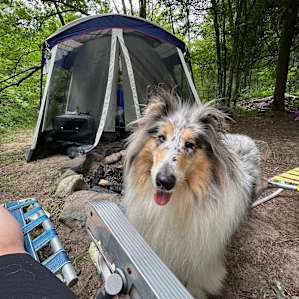 Brookhollow Riverfront Campsite
