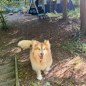 Brookhollow Riverfront Campsite
