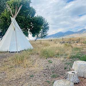 Meadow Springs Tipi and Campsite