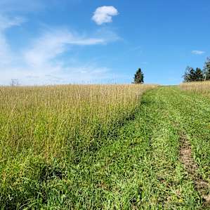 This is the path for site 1.