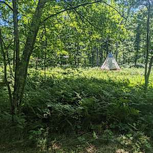 Wilderness Stream Magic
