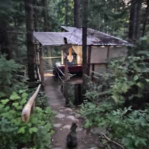 Owl's Nest