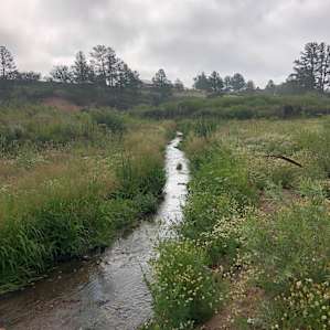 Bell Tent by the Creek