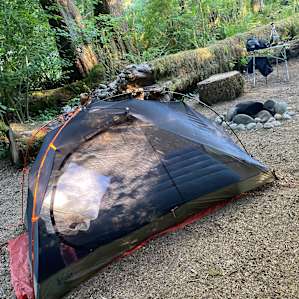 Salmon Run Trailside #4