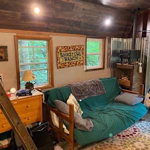 Conifer Cabin in the Woods