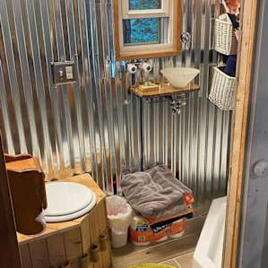 Conifer Cabin in the Woods