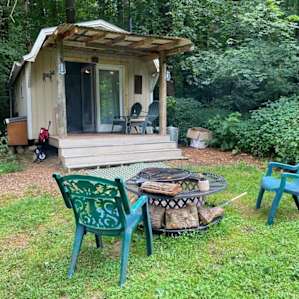 Conifer Cabin in the Woods