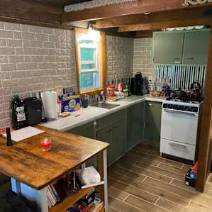 Conifer Cabin in the Woods