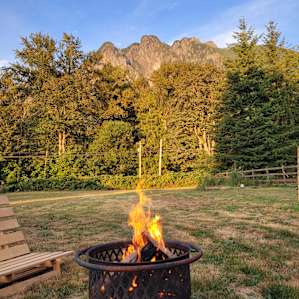 Mt Si’s Brachiosaurus