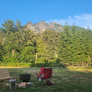 Mt Si’s Brachiosaurus
