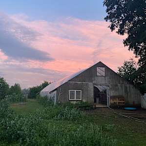 Amanda's Alpaca Farm