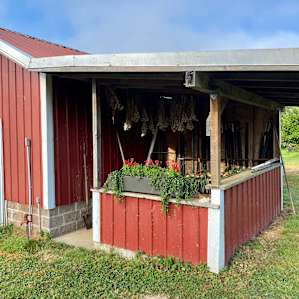 Slow Boat Farm