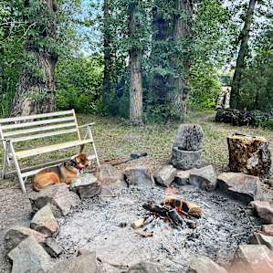 Creekside Oasis on 60 acres