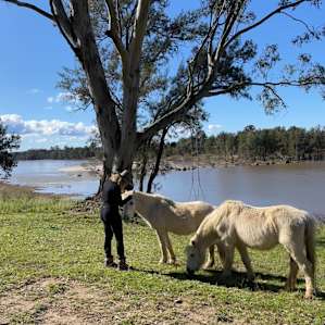 River Camping Yarramundi