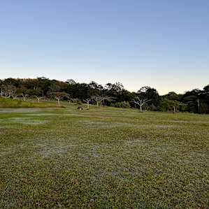 Wolvi Grove Campground