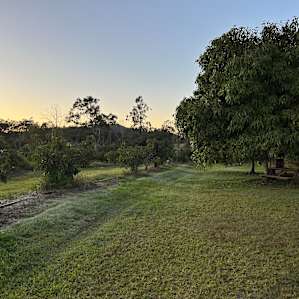Dawn over Wolvi Grove farm