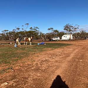Our camp spot with our horses