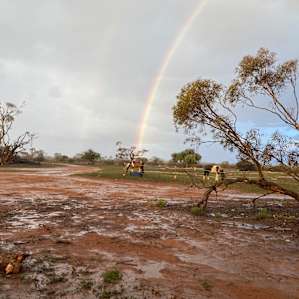 Stockyard Plains