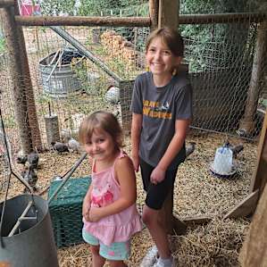 Baby chickens!!!