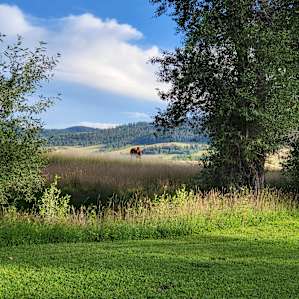 Creek Side Boondocking