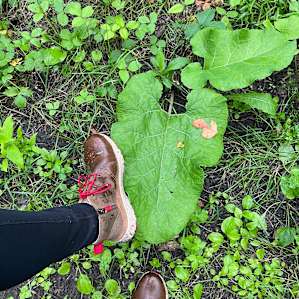 Beautiful vegetation on the trails