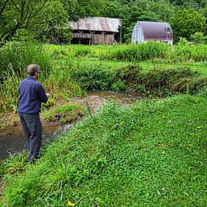 Trout abundant