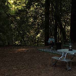 Redwood Retreat