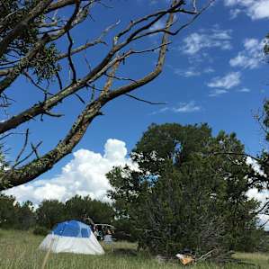 High Desert Magic