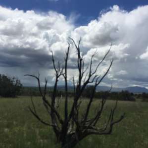 High Desert Magic