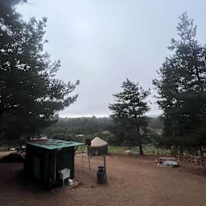 A Cozy Yurt Experience