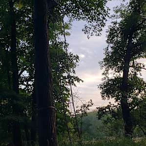 Creekside camping and RV spot
