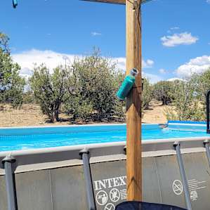The amazing pool!