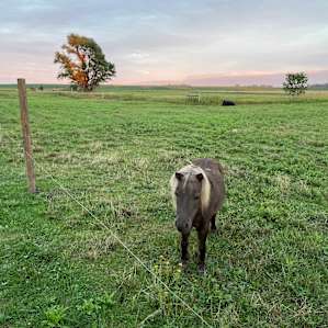 The Good Earth Farm RV Site