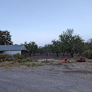 River Oak Gardens - Tent site