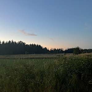 Beautiful sunset.