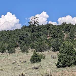 Campsites @ New Sky Ranch