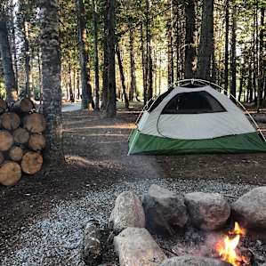 Under the Cedars - 4 dry sites